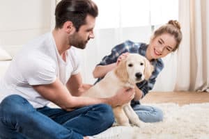 he even likes your pet