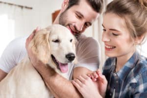 your pet take part in your relationships